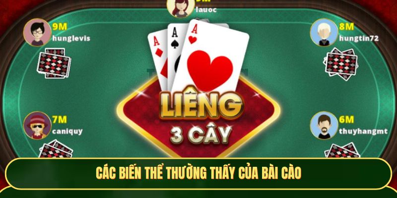 Các biến thể thường thấy của bài cào
