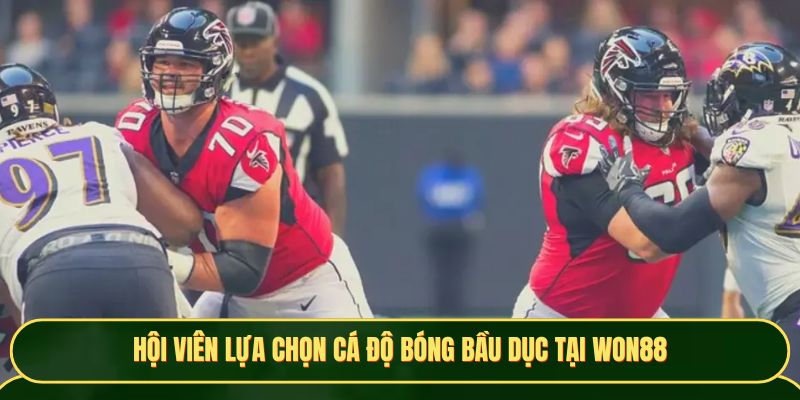 Hội viên lựa chọn cá độ bóng Bầu Dục tại Won88