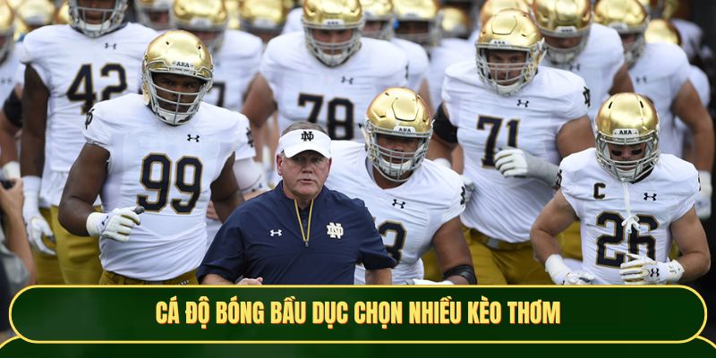 Cá độ bóng Bầu Dục