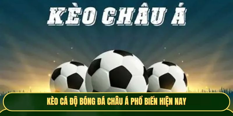 Kèo cá độ bóng đá châu Á phổ biến hiện nay