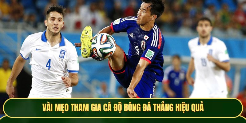Vài mẹo tham gia cá độ bóng đá thắng hiệu quả