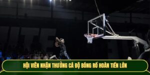 Cá độ bóng rổ