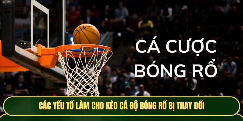 Các yếu tố làm cho kèo cá độ bóng rổ bị thay đổi