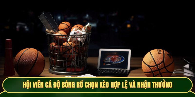 Hội viên cá độ bóng rổ chọn kèo hợp lệ và nhận thưởng