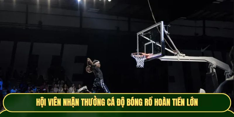 Cá độ bóng rổ