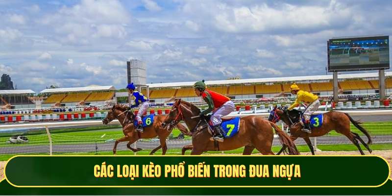 Những loại kèo cơ bản phổ biến hiện nay 