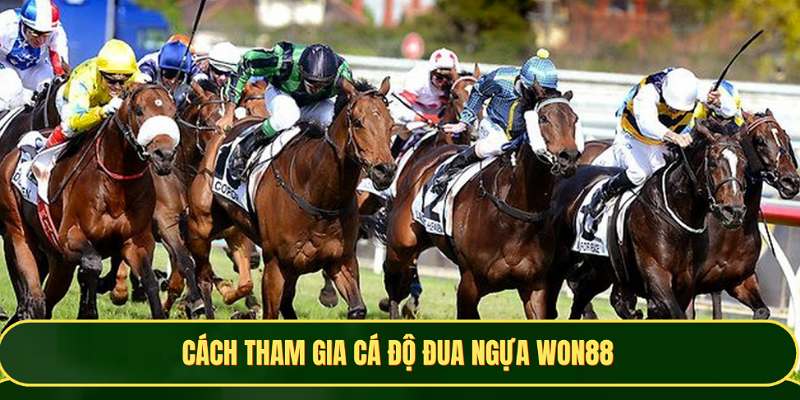 Cách thức tham gia chơi cá độ đua ngựa đơn giản
