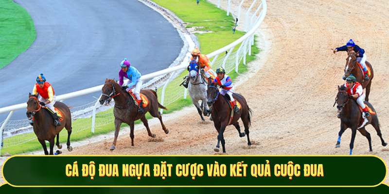 Cá độ đua ngựa dự đoán kết quả thứ tự về đích 