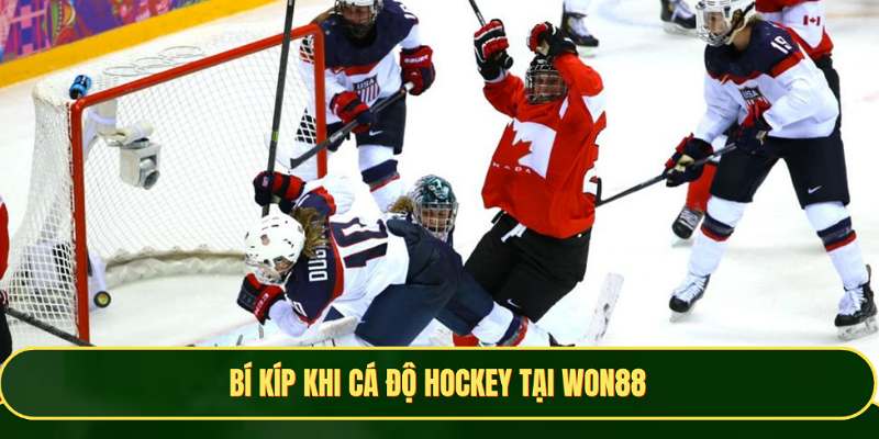 Bí kíp hay khi tham gia chơi cá độ Hockey