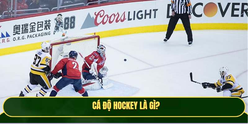 Cá độ Hockey là môn thể thao trên băng vô cùng hấp dẫn