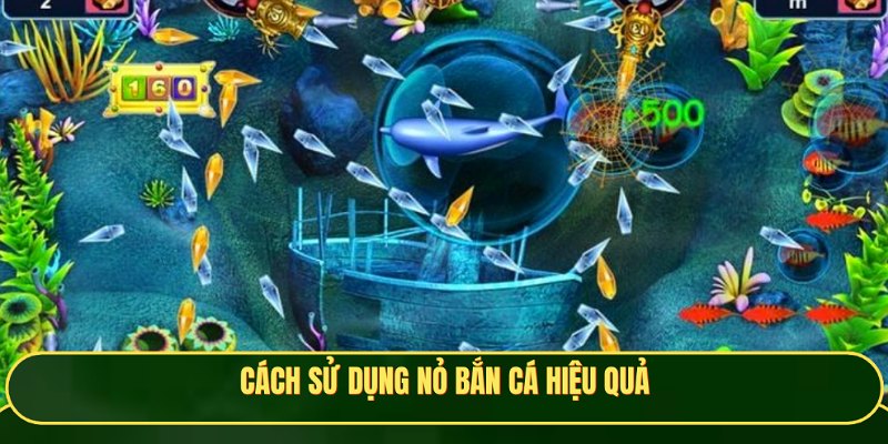 Cách sử dụng nỏ bắn cá hiệu quả nên áp dụng ngay